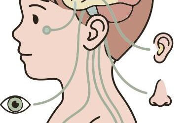 Your Child’s 2-Minute Adjustment Is Doing More Than You Think