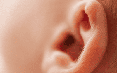 Ear Infections, Antibiotics, and Asthma: A “Perfect Storm”